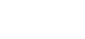 Vikas Trade Links (P) Ltd