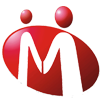 Vikas Trade Links (P) Ltd